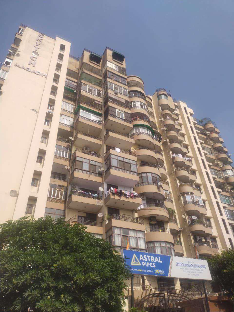 Skytech Magadh View 4