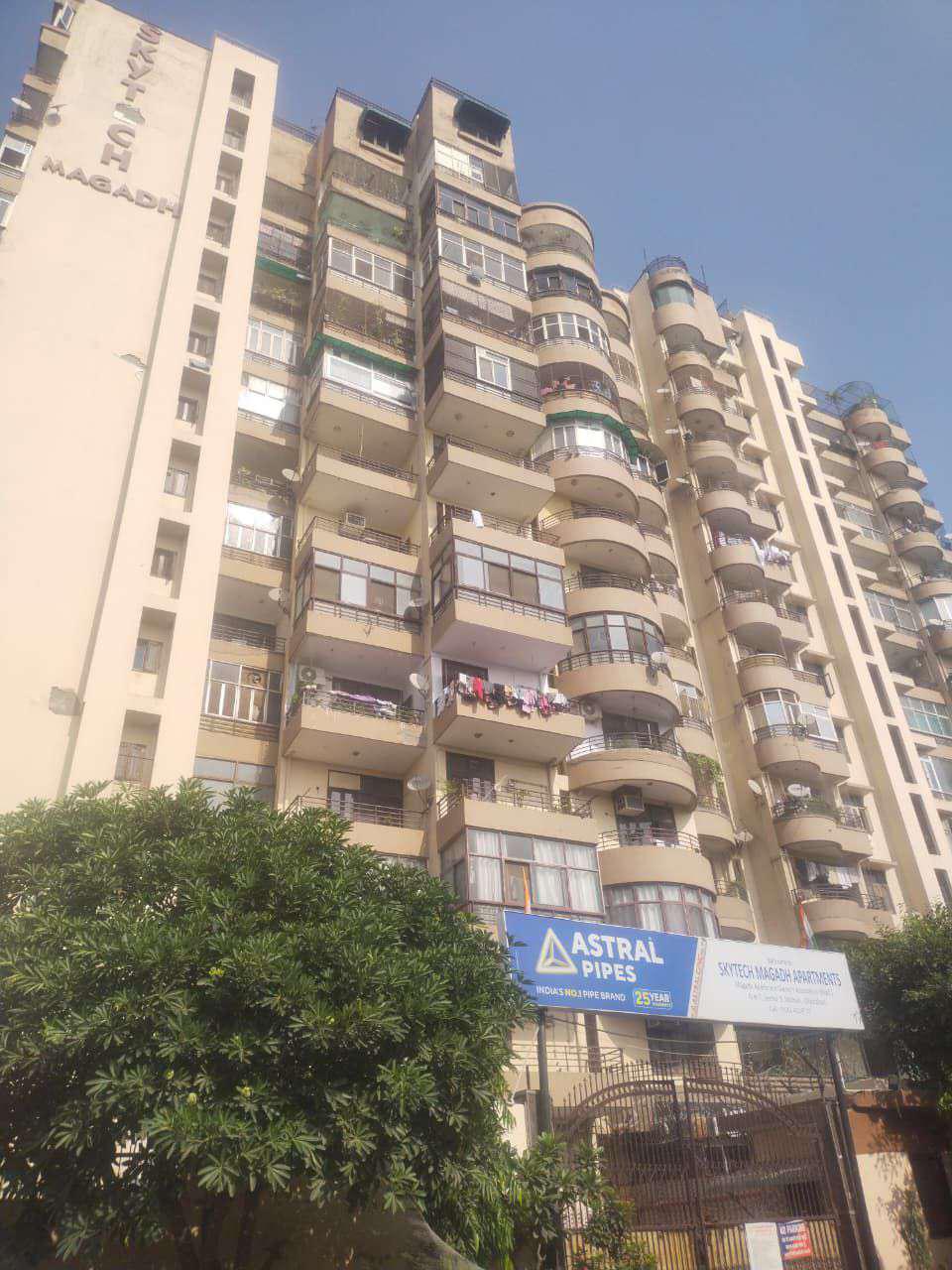 Skytech Magadh View 6
