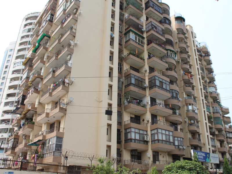 Skytech Magadh