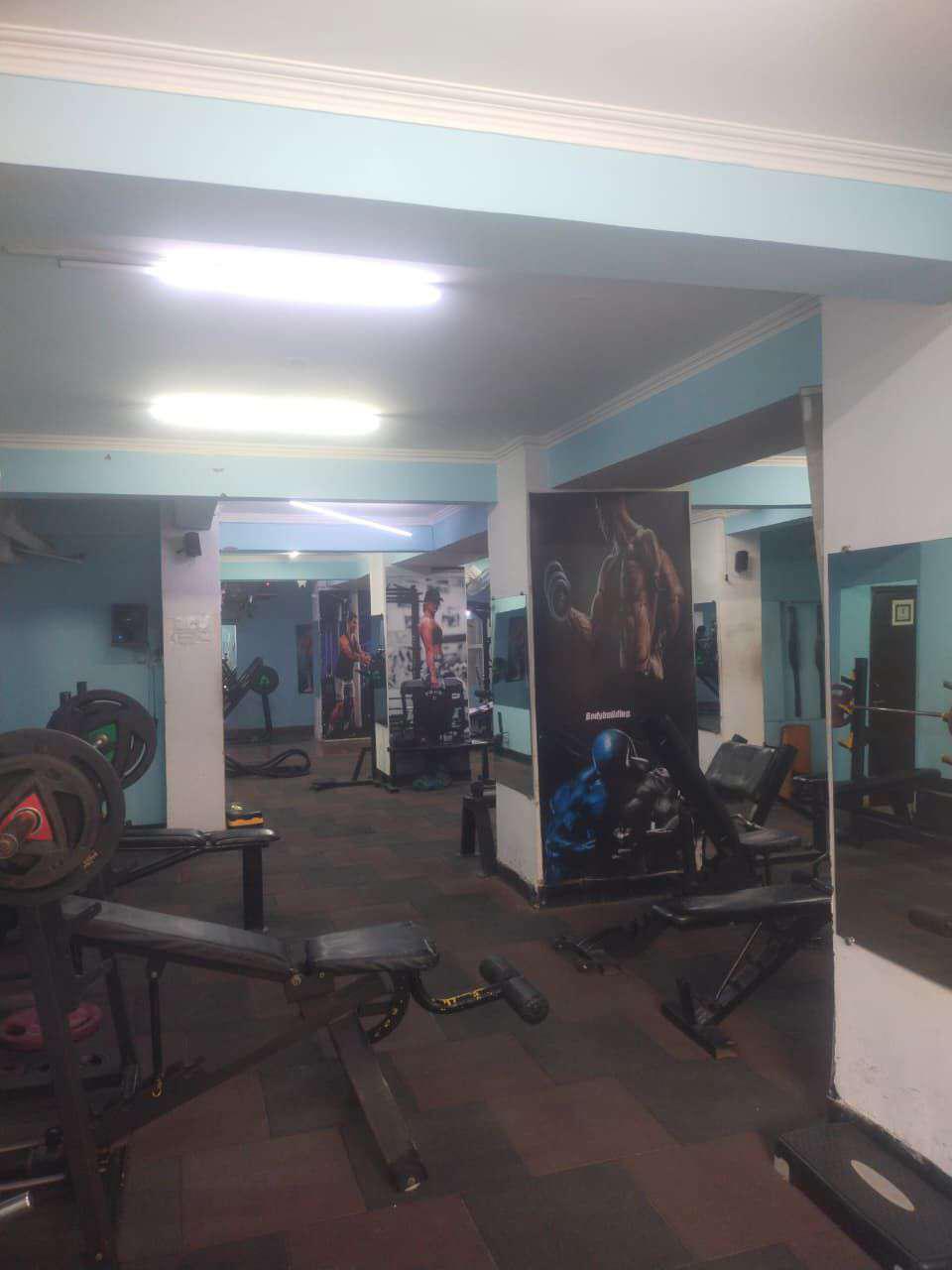 Skytech Matrott View 14