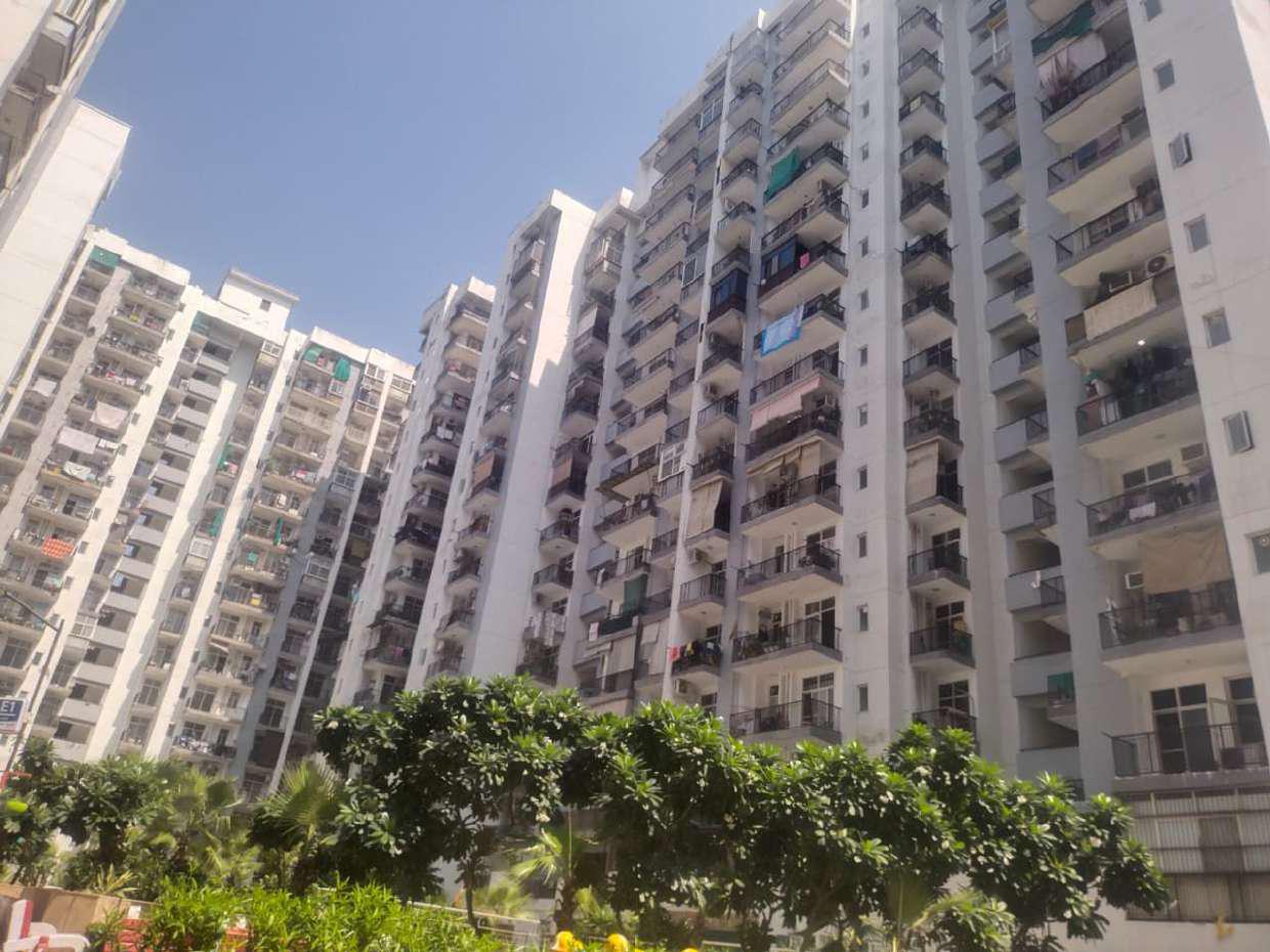 Skytech Matrott View 5