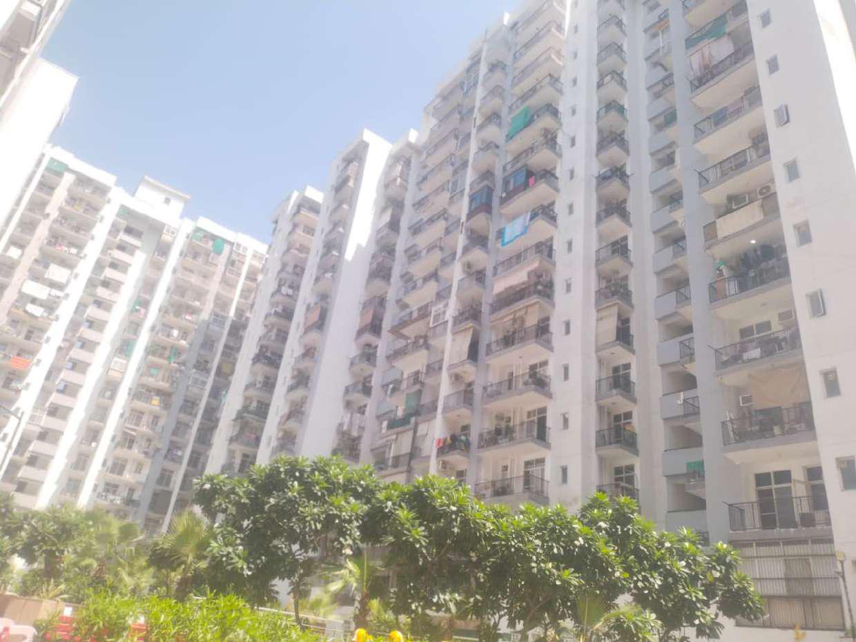 Skytech Matrott View 6